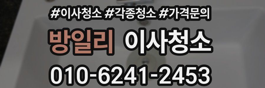 방일리 이사청소