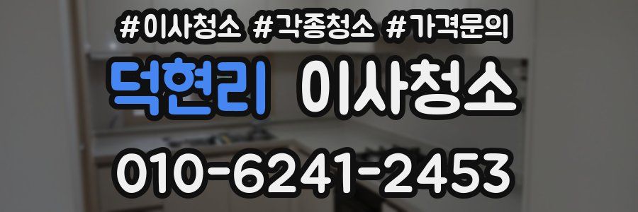 덕현리 이사청소