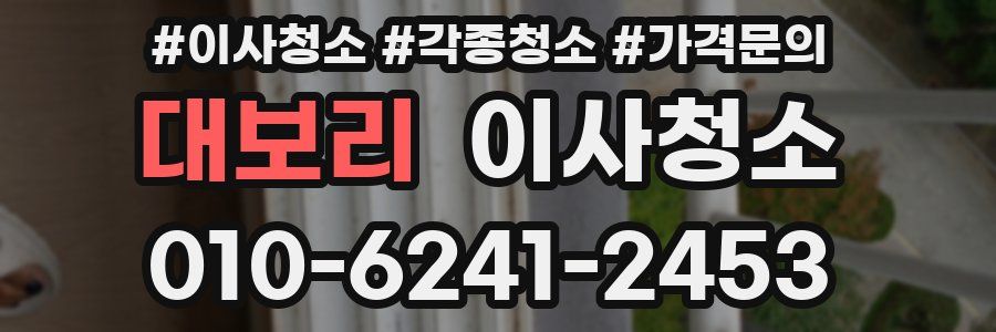 대보리 이사청소