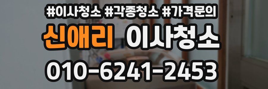 신애리 이사청소