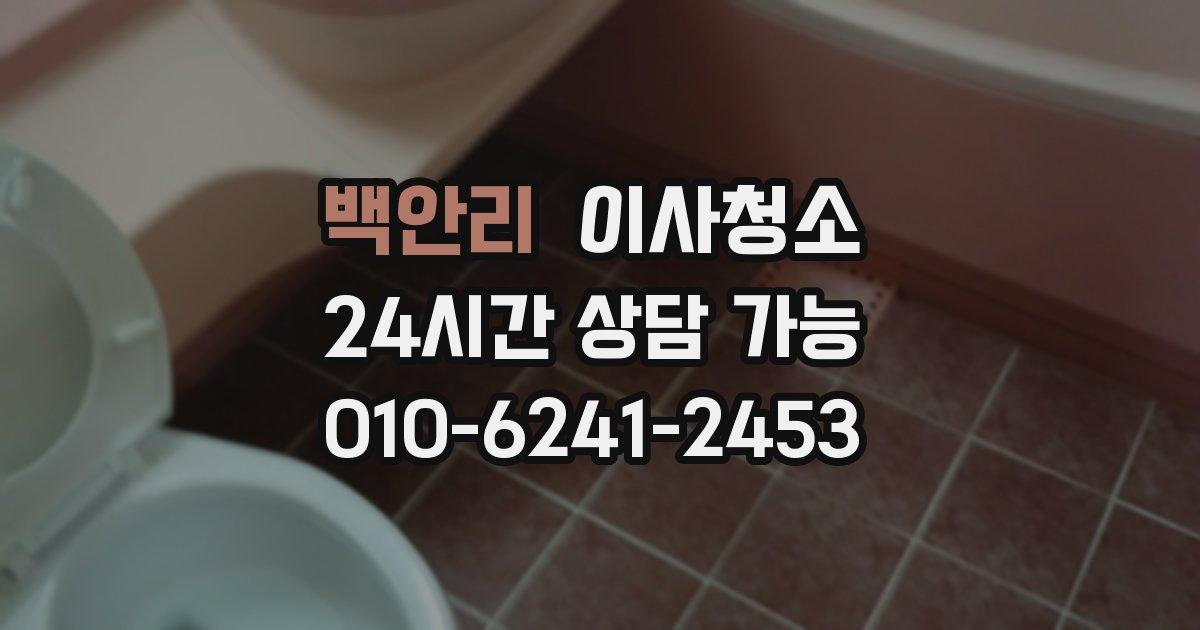 백안리 입주청소