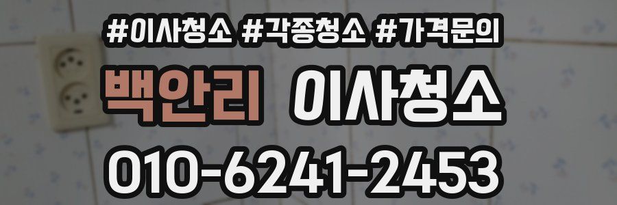 백안리 이사청소