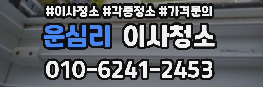 운심리 이사청소