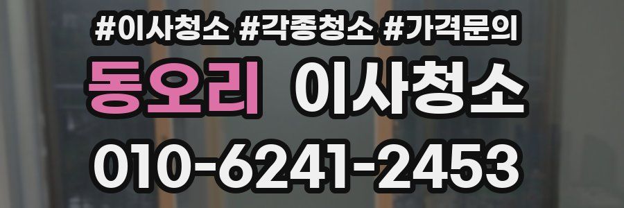 동오리 이사청소