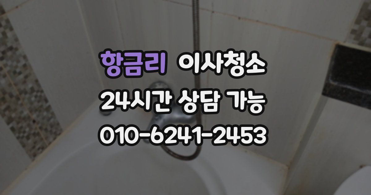 항금리 입주청소