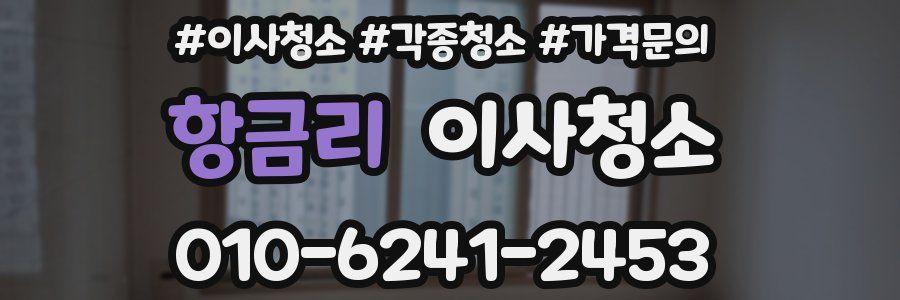 항금리 이사청소