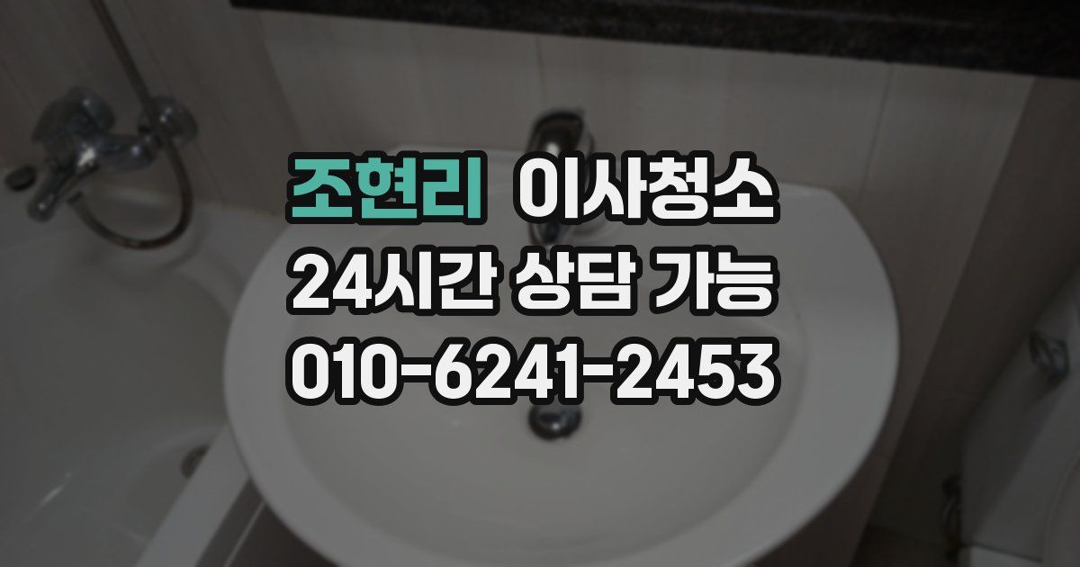 조현리 입주청소