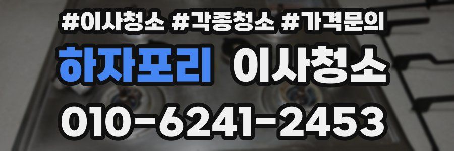 하자포리 이사청소