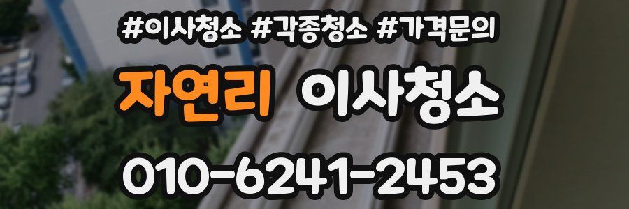 자연리 이사청소