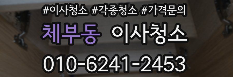 체부동 이사청소