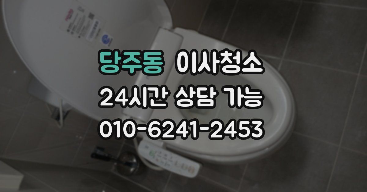 당주동 입주청소