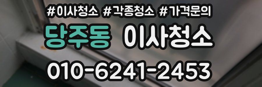 당주동 이사청소