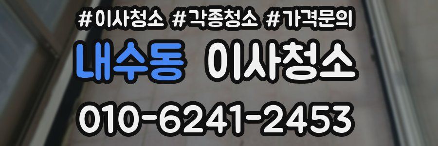 내수동 이사청소