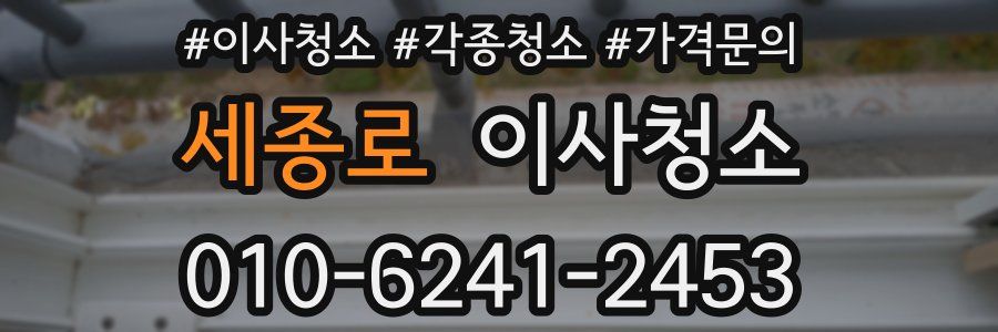 세종로 이사청소