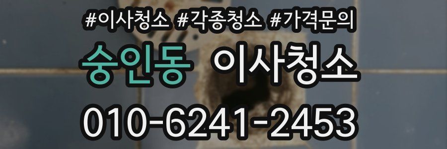 숭인동 이사청소