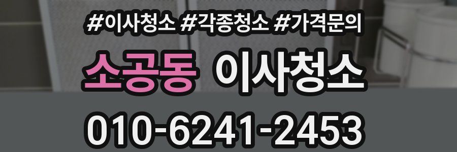 소공동 이사청소