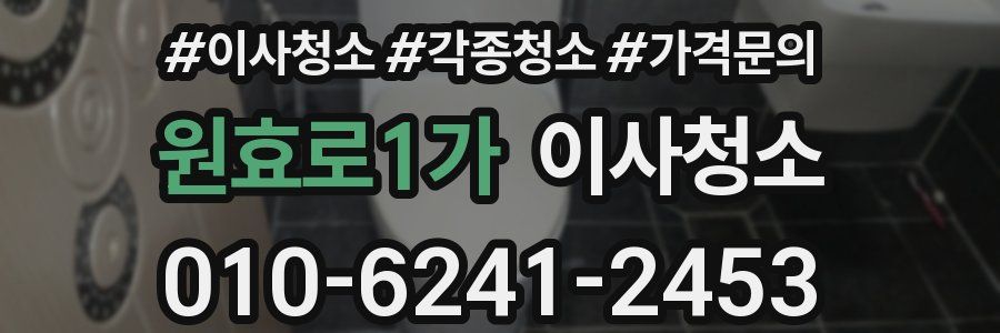 원효로1가 이사청소