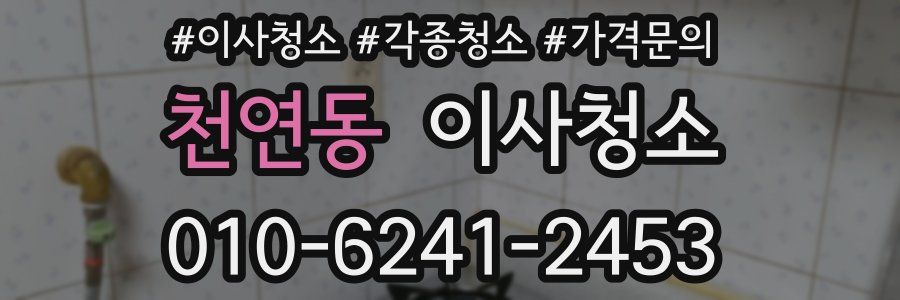 천연동 이사청소