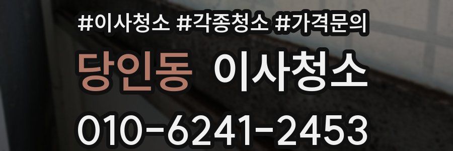 당인동 이사청소