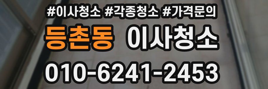 등촌동 이사청소