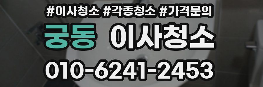 궁동 이사청소