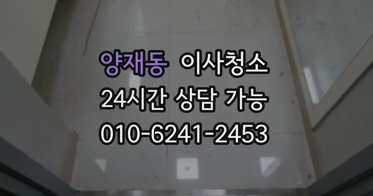 양재동 입주청소