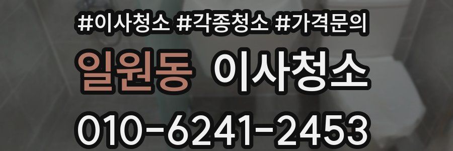 일원동 이사청소