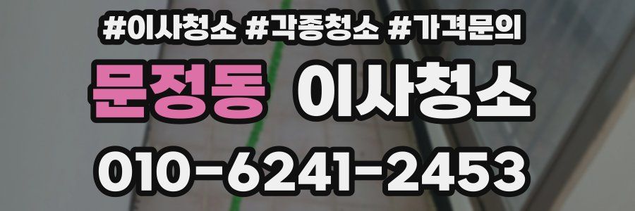 문정동 이사청소