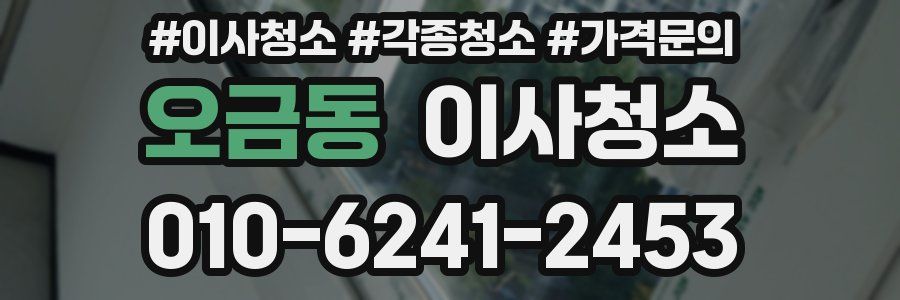 오금동 이사청소