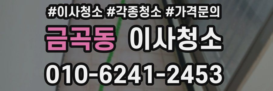 금곡동 이사청소