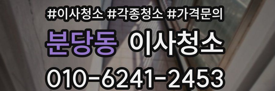 분당동 이사청소