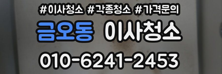금오동 이사청소