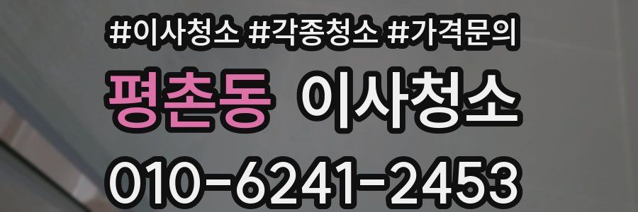 평촌동 이사청소
