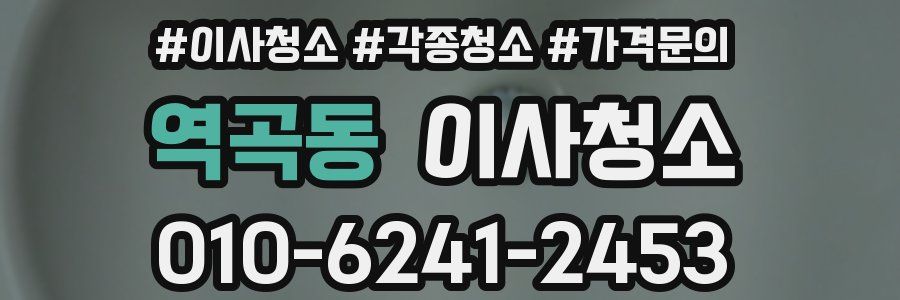 역곡동 이사청소