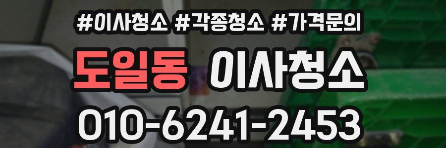 도일동 이사청소