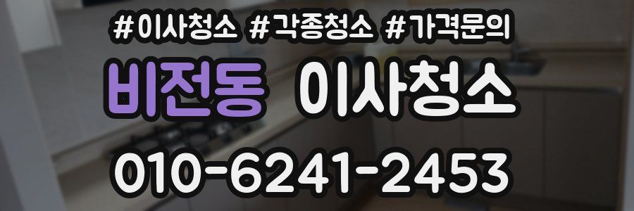 비전동 이사청소