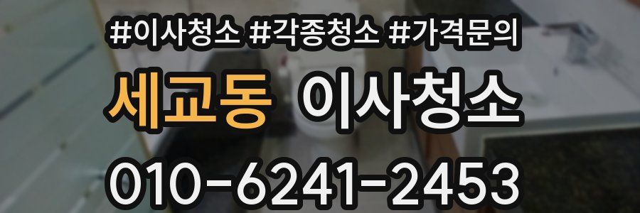 세교동 이사청소