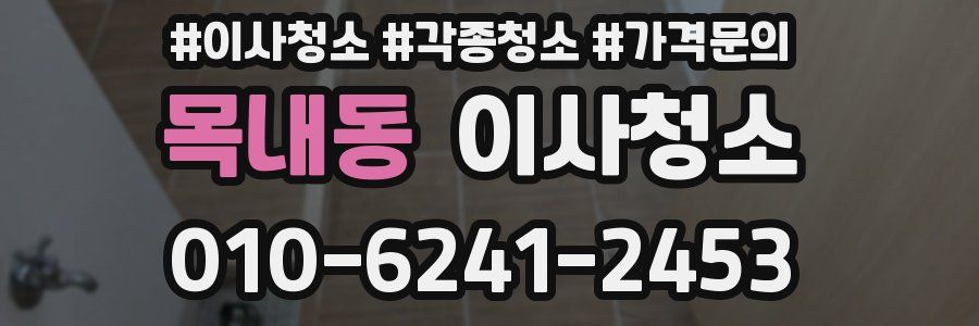 목내동 이사청소