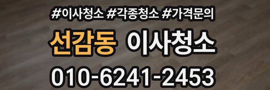 선감동 이사청소