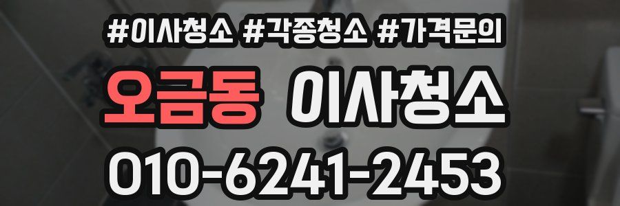 오금동 이사청소