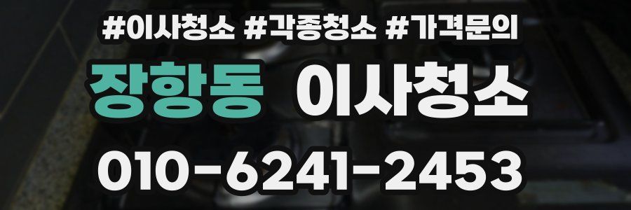 장항동 이사청소
