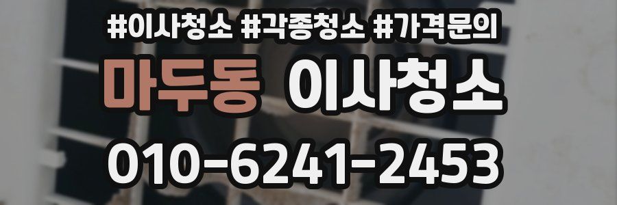 마두동 이사청소