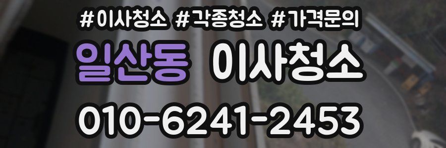 일산동 이사청소