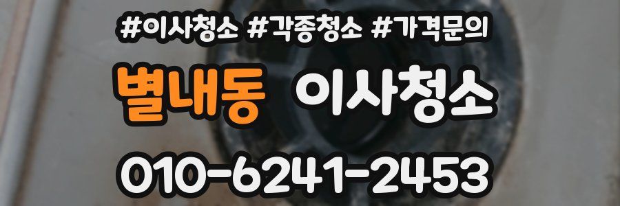 별내동 이사청소