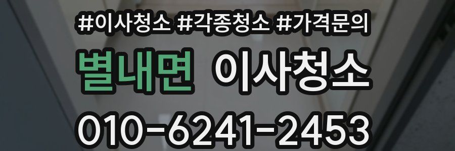 별내면 이사청소