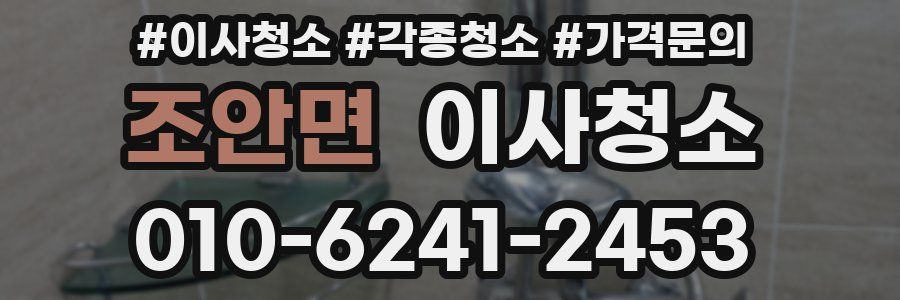 조안면 이사청소