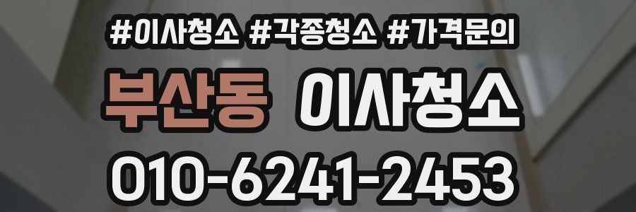 부산동 이사청소