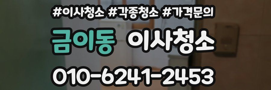 금이동 이사청소