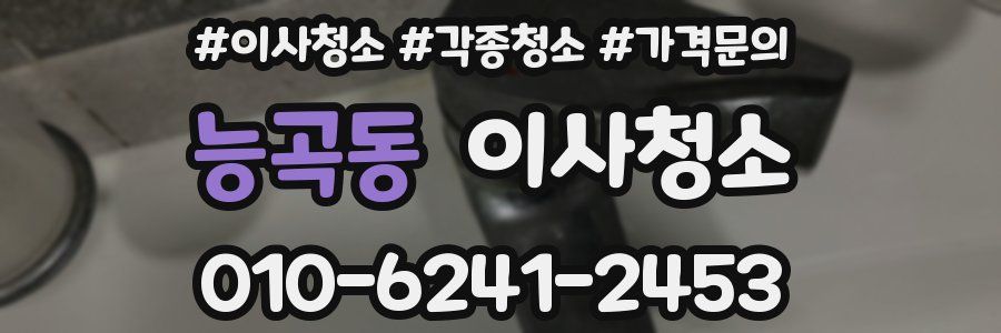 능곡동 이사청소