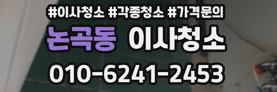 논곡동 이사청소